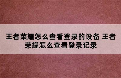 王者荣耀怎么查看登录的设备 王者荣耀怎么查看登录记录